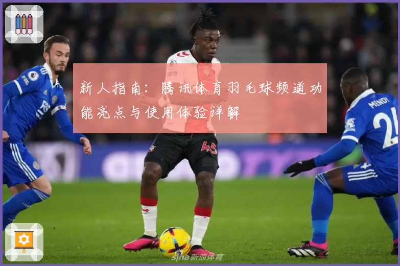 新人指南：腾讯体育羽毛球频道功能亮点与使用体验详解