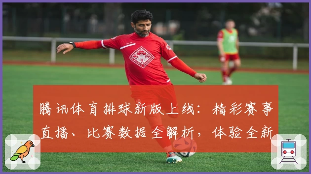 腾讯体育排球新版上线:精彩赛事直播、比赛数据全解析,体验全新观赛乐趣